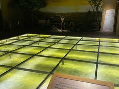 -王府井古人类文化遗址博物馆
