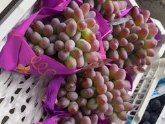 -马陆小张葡萄园农家乐