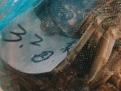 -江杨农产品批发市场