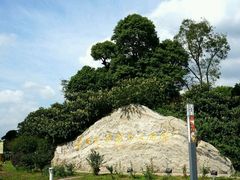 -华西村