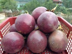 百香果-叶氏兄弟果业(浒山路5店)