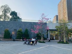 -深圳来福士广场