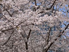 -西北湖绿化广场