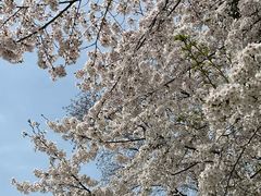 -山姆会员店·停车场