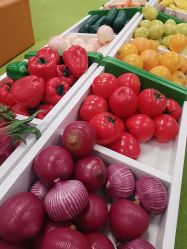 -莫莉幻想儿童乐园(长沙中海环宇城店)