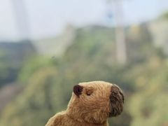 -广州市白云山风景名胜区