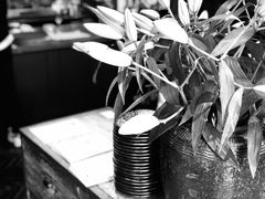-Apollo·西班牙小酒馆(安福路店)