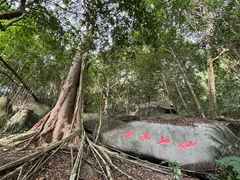 -七仙岭温泉国家森林公园