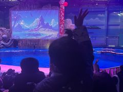 -华夏文旅海洋公园