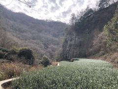 -十九峰景区-倒脱靴