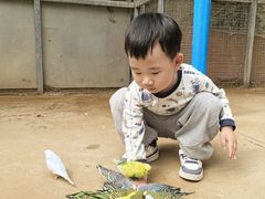-呀路古热带植物园