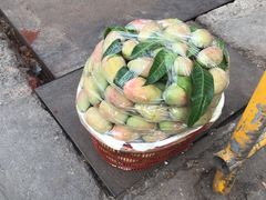 -三亚新鸿港水果一级批发市场