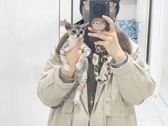 -达爱动物医院·犬猫分区·CT·复杂眼科(远洋山水分院)