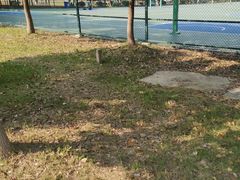 -苏州城市学院
