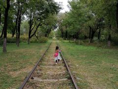 -永定河休闲森林公园