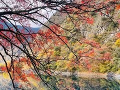 -叠溪松坪沟景区