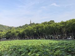-北山街历史文化街区