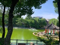 -莲湖公园