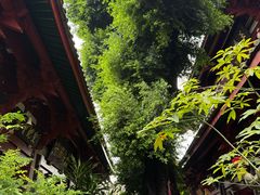 -叩齿古寺