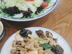 -邵年鸽(杨庄店)