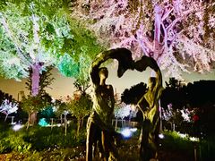 -大宁郁金香公园-停车场