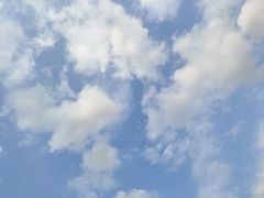 -渔人码头(洛溪店)