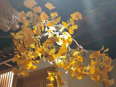 -小京华楼·京味斋(三元桥国展店)