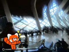 -抱抱地球咖啡馆(国家海洋博物馆店)