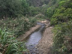 -广州市石门国家森林公园