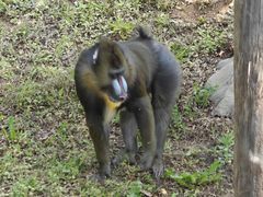 -石家庄市动物园