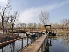 -东郊湿地公园