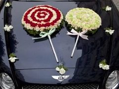 -深圳大学城（南区）体育中心-游泳馆