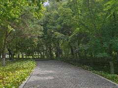 -长春世界雕塑园冰雪艺术天地