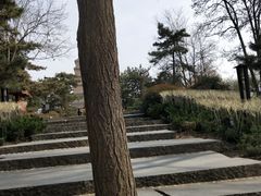 -大慈恩寺(大雁塔)