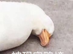 -万象影城(深圳布吉万象汇IMAX店)