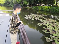 -西湖外事游船(花港观鱼码头)