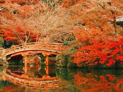 -醍醐寺