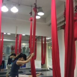 -榕树上·瑜伽普拉提