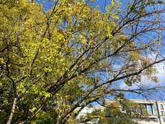 -云南师范大学(一二一西南联大校区)