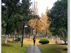 -昆山城市公园