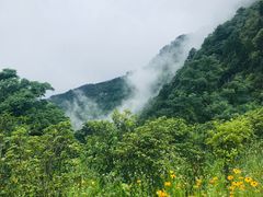 -綦江古剑山