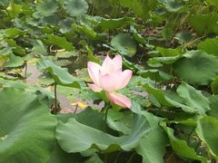 -恭王府博物馆