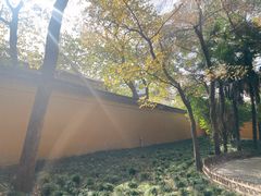 -西园戒幢律寺