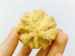 -珍妮曲奇聪明小熊(上环店)