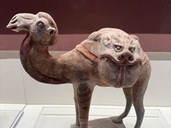 -隋唐大运河文化博物馆