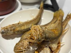 -老吉士酒家(天平路店)