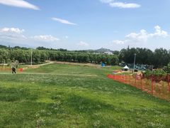 -北戴河集发农业梦想王国