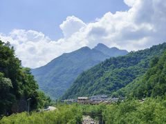 -牛背梁国家森林公园