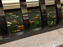 -龙悦湾酒家·八阵鱼生·渔人码头店