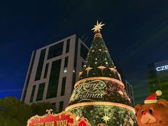 -杭州温德姆至尊豪廷大酒店